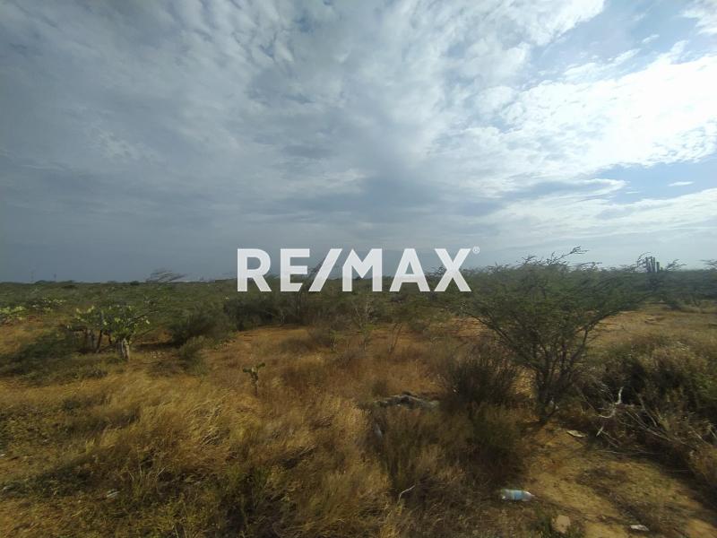 Amplio Terreno en venta en Guanadito Sur.