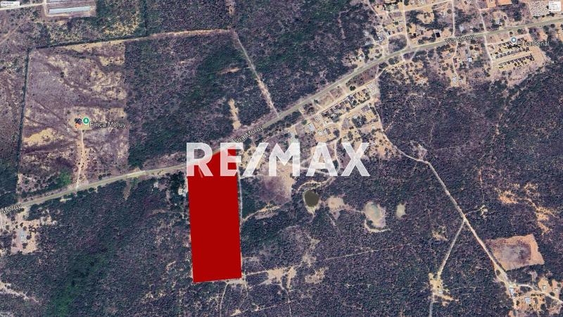 Fundo  de 20 Ha en venta ubicado en Adaure, Municipio Falcón