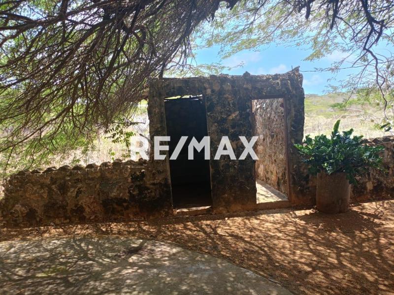 Finca en Venta, Buena Vista, Municipio Falcón