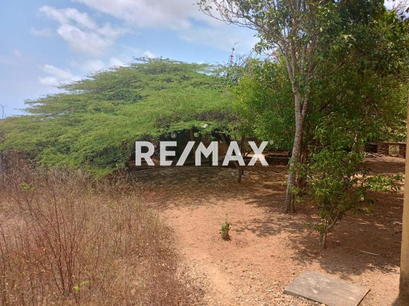 Finca en Venta, Buena Vista, Municipio Falcón