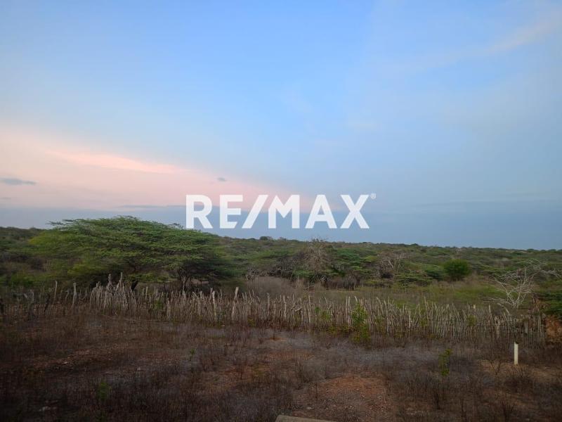 Finca en Venta, Buena Vista, Municipio Falcón