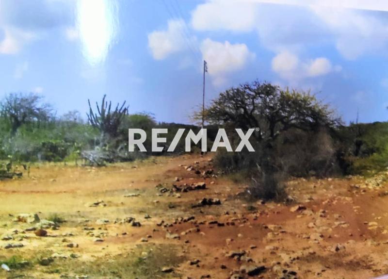 Terreno en Venta, Sector La Guadalupe, El Taparo