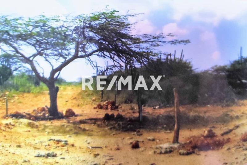 Terreno en Venta, Sector La Guadalupe, El Taparo