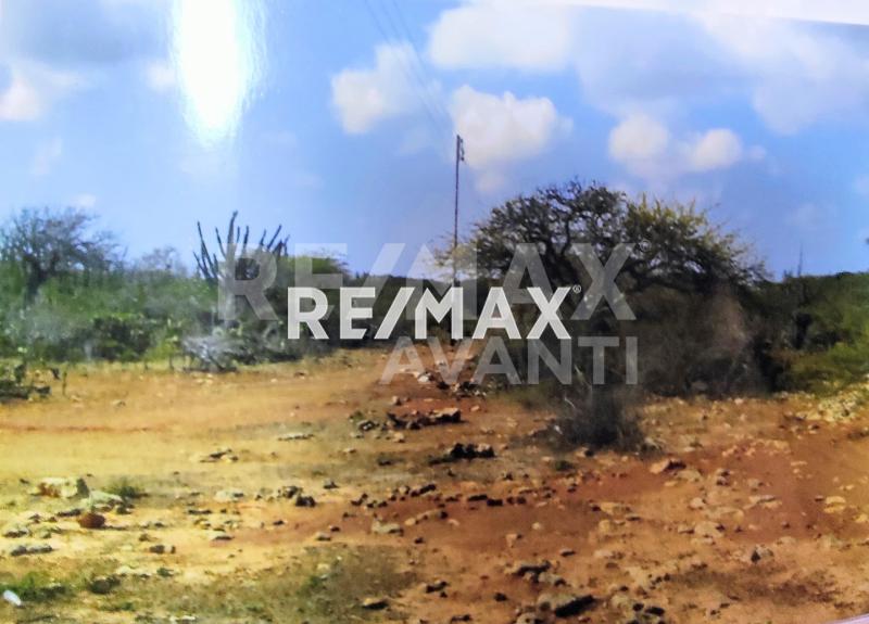 Terreno en Venta, Sector La Guadalupe, El Taparo