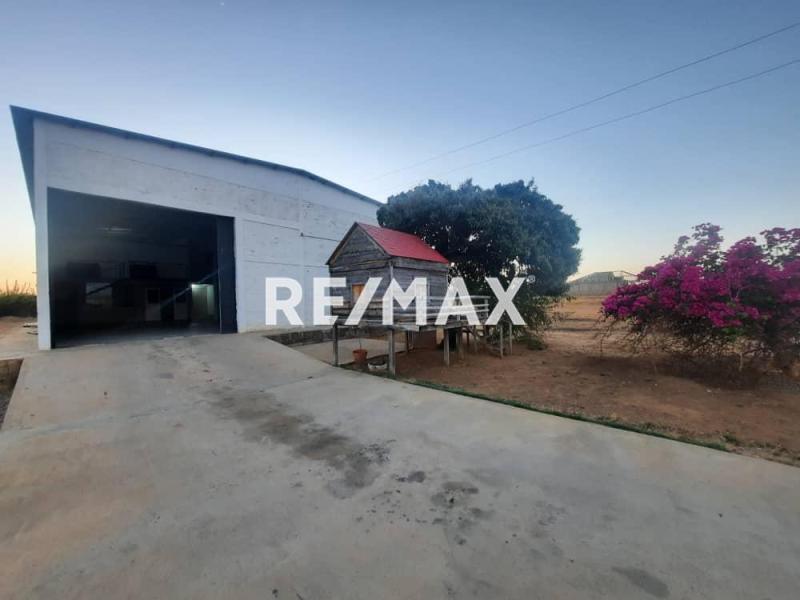 Hacienda En Venta, Yabuquiba, Moruy.