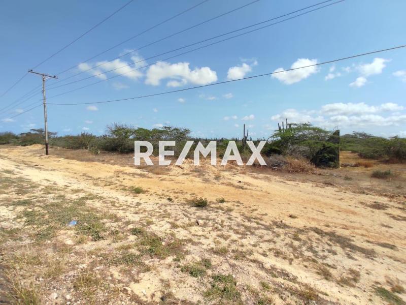 Terreno en Venta, Los Taques.