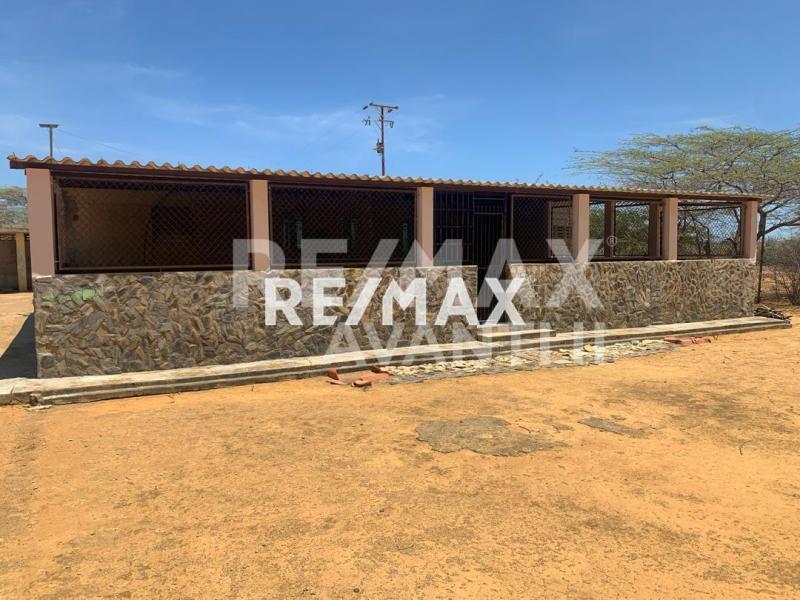 En Venta Negocio Cumujacoa Vía Los Taques, Falcon, VEN