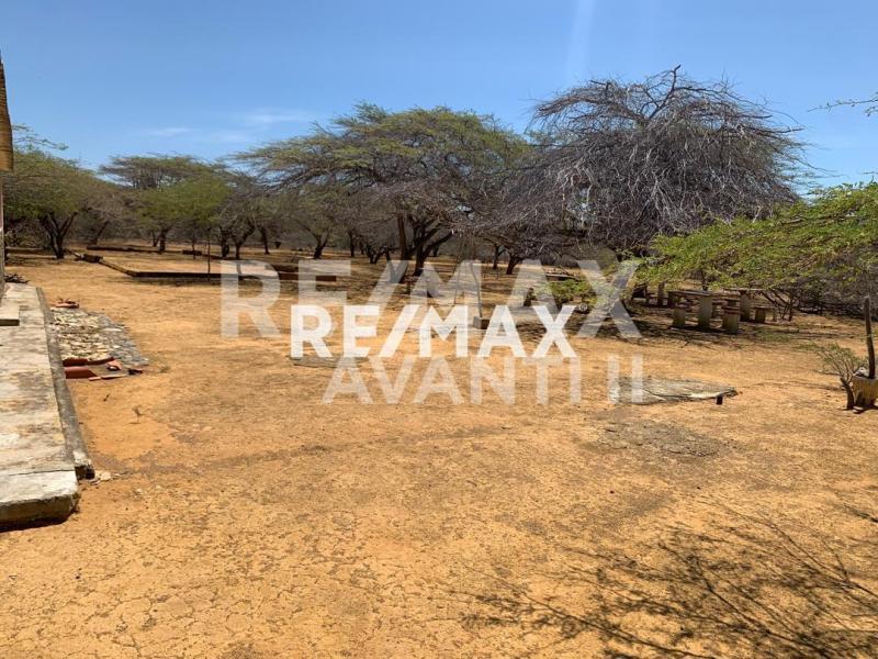 En Venta Negocio Cumujacoa Vía Los Taques, Falcon, VEN