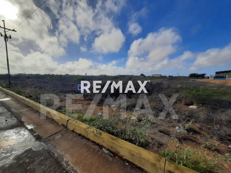 En Venta Terreno y Parcela Las Adjuntas, intercomunal Ali Primera, Punto Fijo, Municipio Carirubana del Estado Falcón, VEN