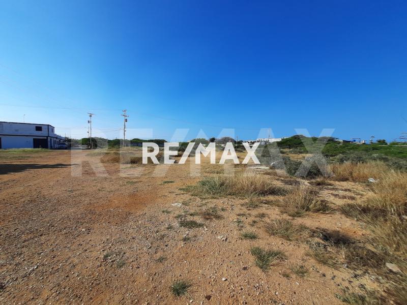 En Venta Terreno y Parcela Las Adjuntas, intercomunal Ali Primera, Punto Fijo, Municipio Carirubana del Estado Falcón, VEN