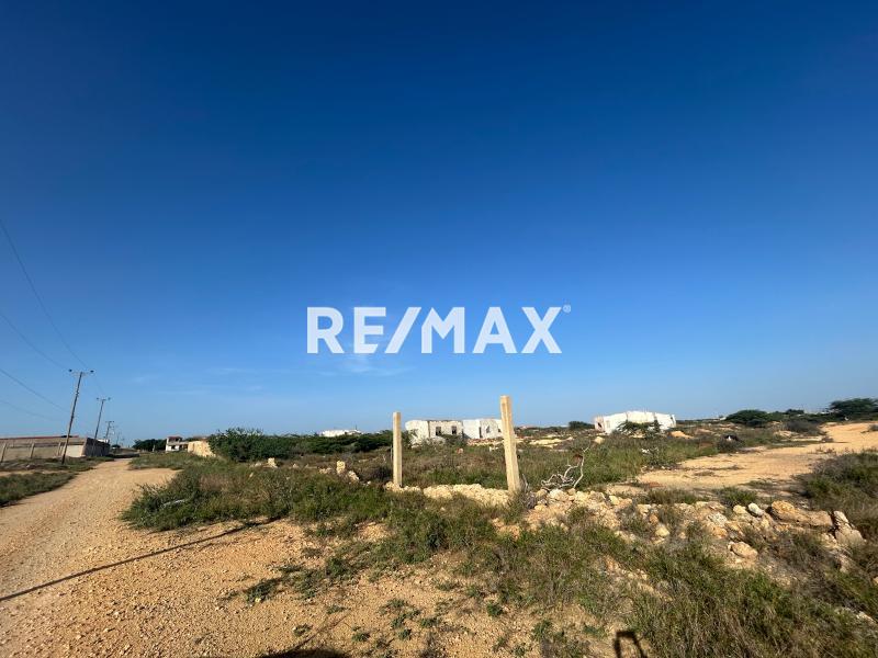 En Venta Terreno y Parcela Punta Cardón, Cardón, Falcón, 4154, VEN