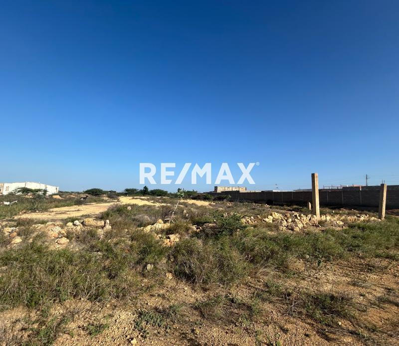 En Venta Terreno y Parcela Punta Cardón, Cardón, Falcón, 4154, VEN