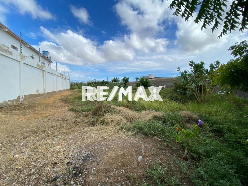 En Venta Terreno y Parcela Avenido Jacinto Lara, Centro, Punto Fijo, Falcón, 4102, VEN