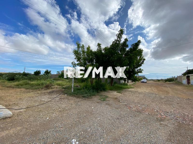 En Venta Terreno y Parcela Avenido Jacinto Lara, Centro, Punto Fijo, Falcón, 4102, VEN