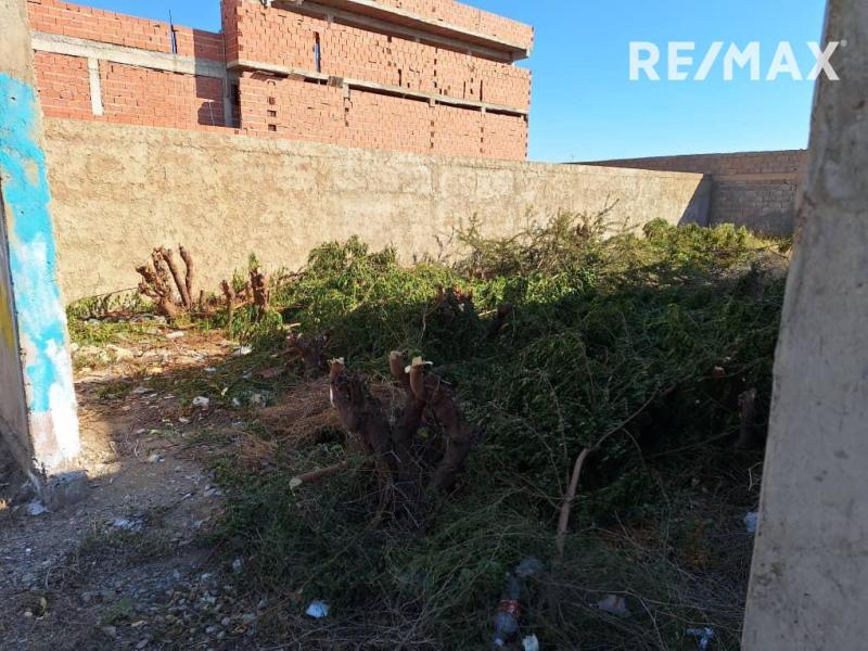 En Venta Terreno y Parcela Calle tinaco municipio carirubana