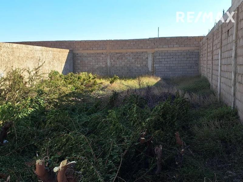 En Venta Terreno y Parcela Calle tinaco municipio carirubana