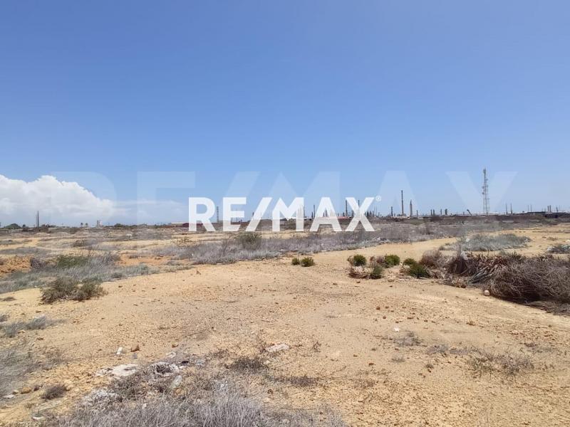 En Venta Terreno y Parcela Calle tinaco municipio carirubana