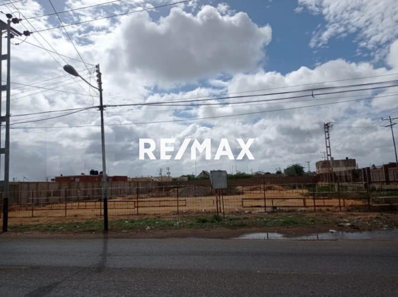 En Venta Terreno y Parcela Calle tinaco municipio carirubana