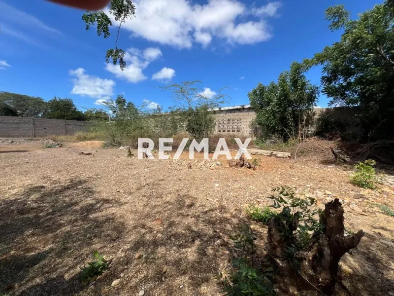 En Venta Terreno y Parcela SECTOR SANTA ELENA MUNICIPIO CARIRUBANA