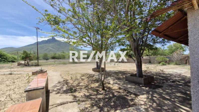 En Venta Terreno y Parcela SECTOR SANTA ELENA MUNICIPIO CARIRUBANA