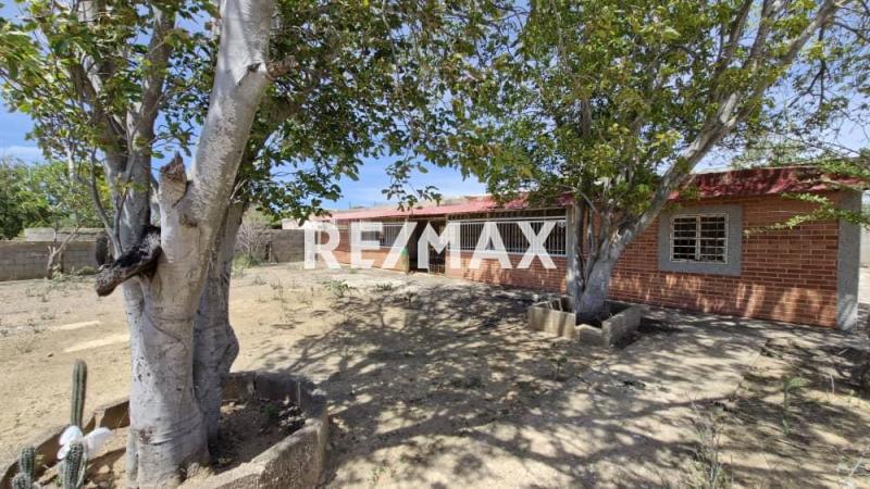 En Venta Terreno y Parcela SECTOR SANTA ELENA MUNICIPIO CARIRUBANA