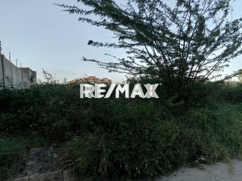 En Venta Terreno y Parcela Avenida los Caobos, Carirubana, Punto Fijo, Falcón, 4102, VEN