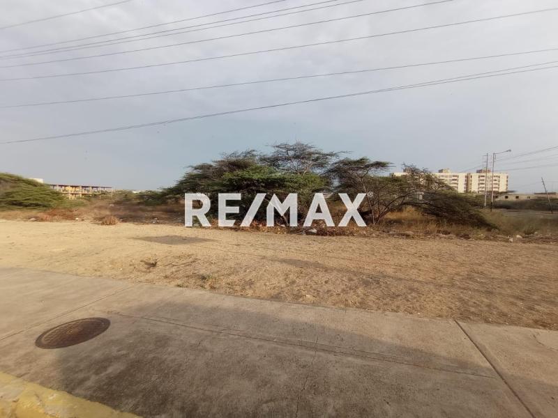 En Venta Terreno y Parcela Avenida los Caobos, Carirubana, Punto Fijo, Falcón, 4102, VEN