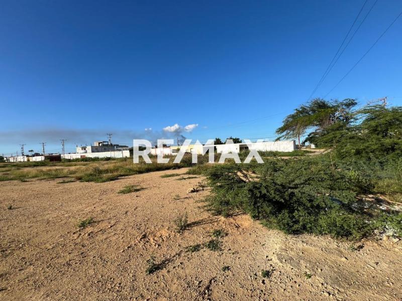 En Venta Terreno y Parcela Calle Tamare, Punto Fijo, Carirubana, Punta Cardón, Falcón, VEN