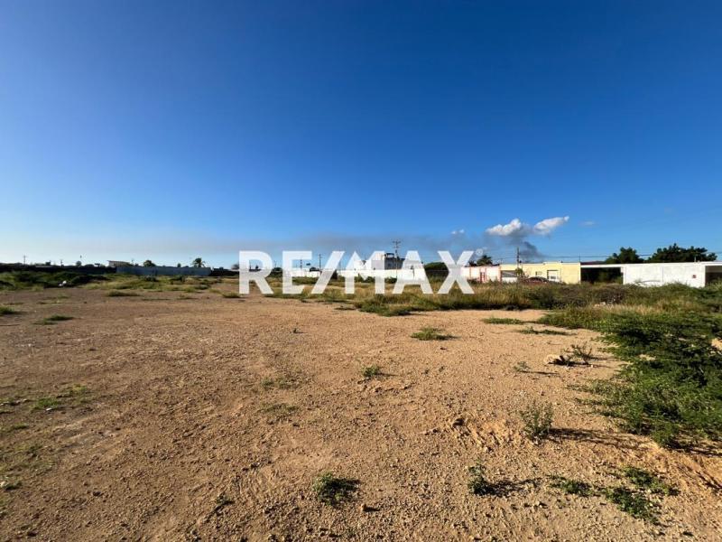 En Venta Terreno y Parcela Calle Tamare, Punto Fijo, Carirubana, Punta Cardón, Falcón, VEN