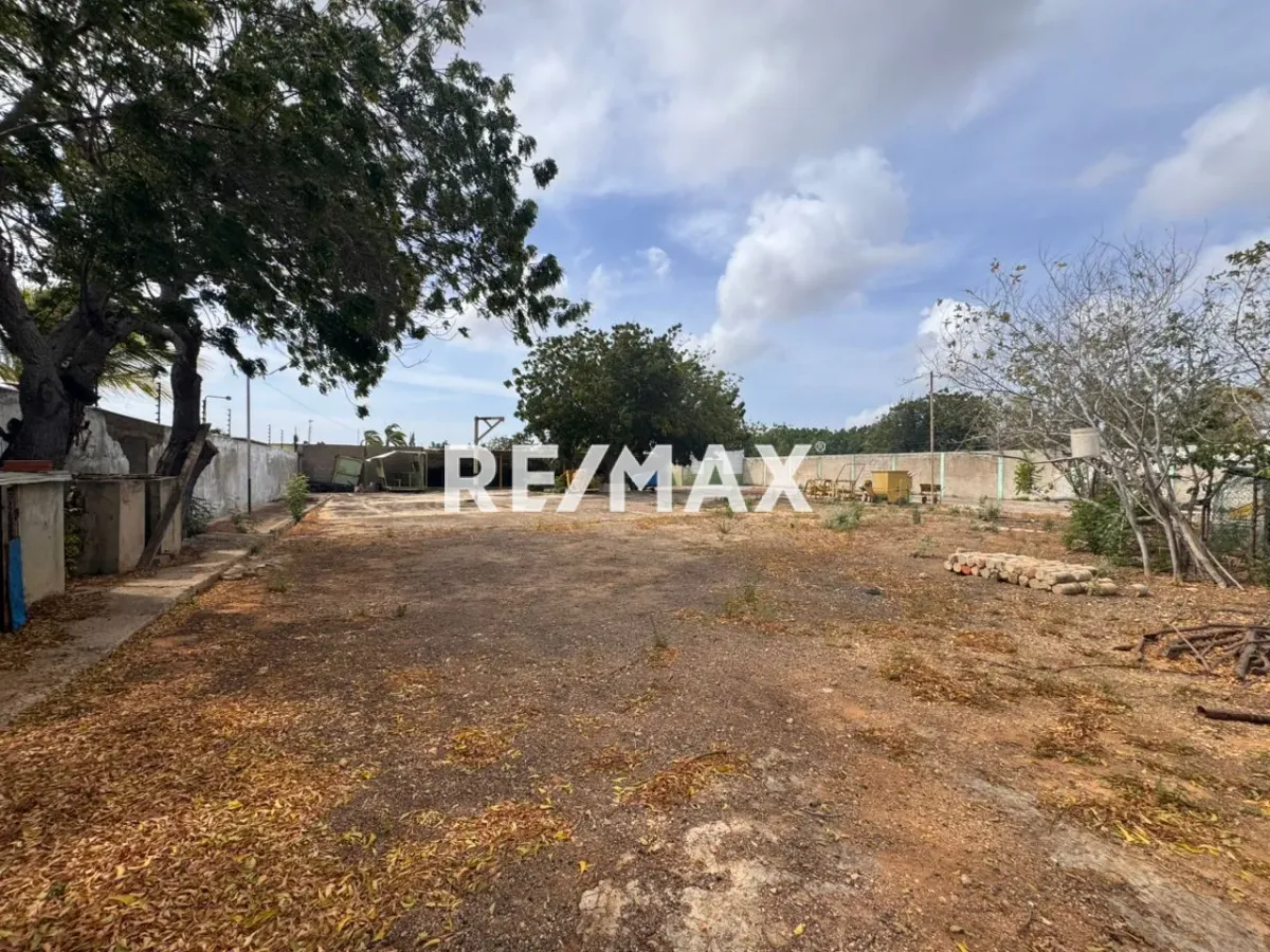 En Venta Negocio La Rinconada, Falcón, VEN