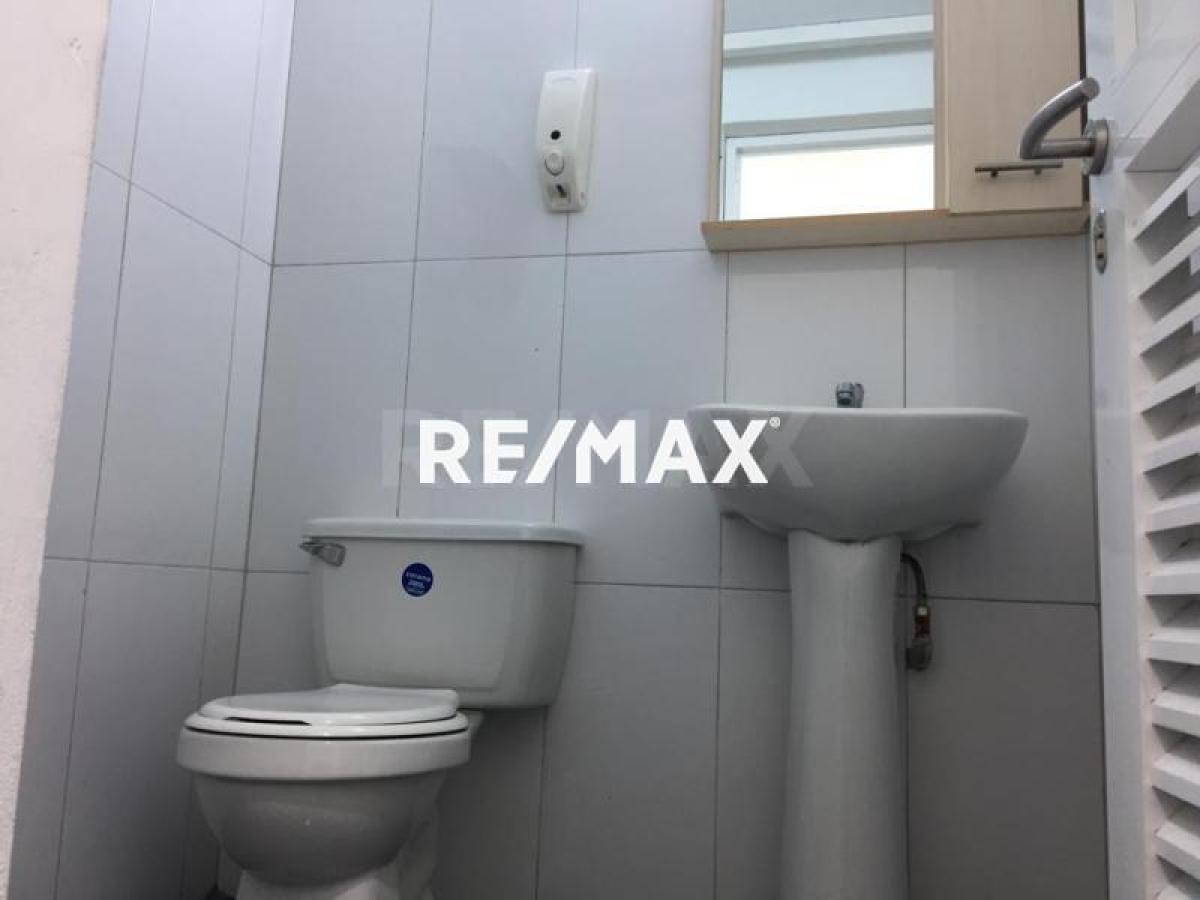 En Venta Edificio Avenida Bolivar, Carirubana, Falcón, 4102, VEN