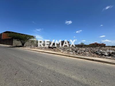 En Venta Terreno y Parcela Avenido Jacinto Lara, Caja de Agua, Punto Fijo, Falcón, 4102, VEN