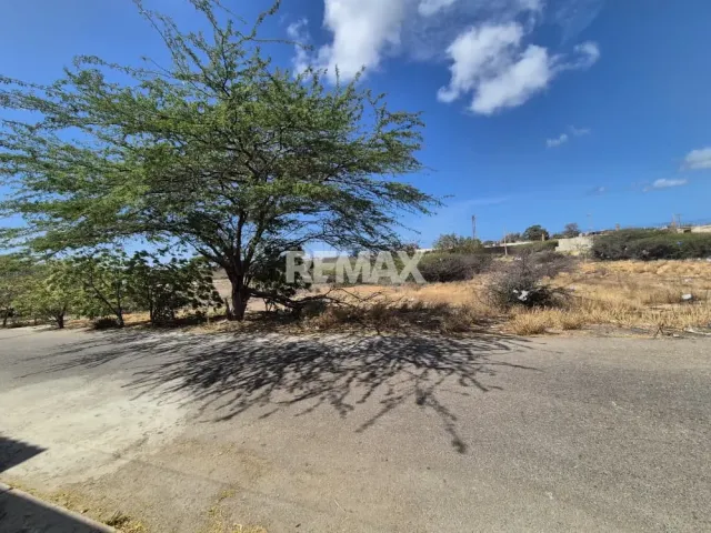 En Venta Terreno y Parcela Urbanizacion pedro Manuel Arcaya