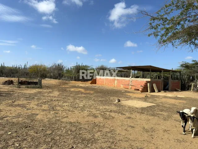 En Venta Hacienda y Finca Municipio Falcon, Jadacaquiva, Sector Las Cejas San Miguel