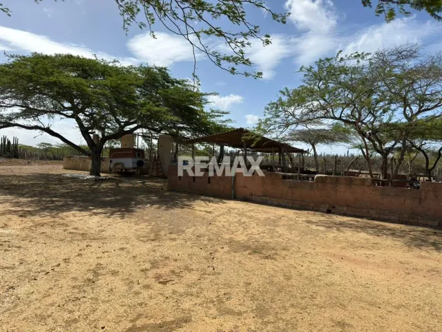 En Venta Hacienda y Finca Municipio Falcon, Jadacaquiva, Sector Las Cejas San Miguel