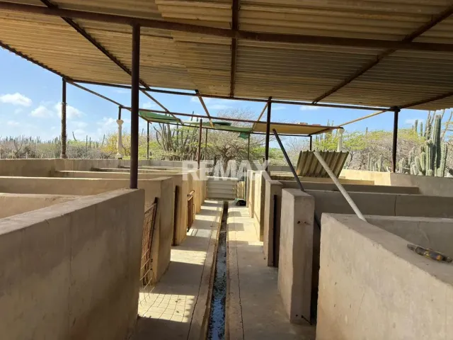 En Venta Hacienda y Finca Municipio Falcon, Jadacaquiva, Sector Las Cejas San Miguel