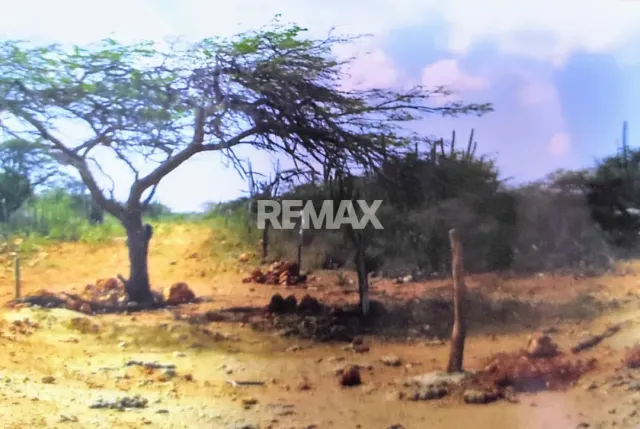 En Venta Terreno y Parcela El Taparo, Sector La Guadalupe