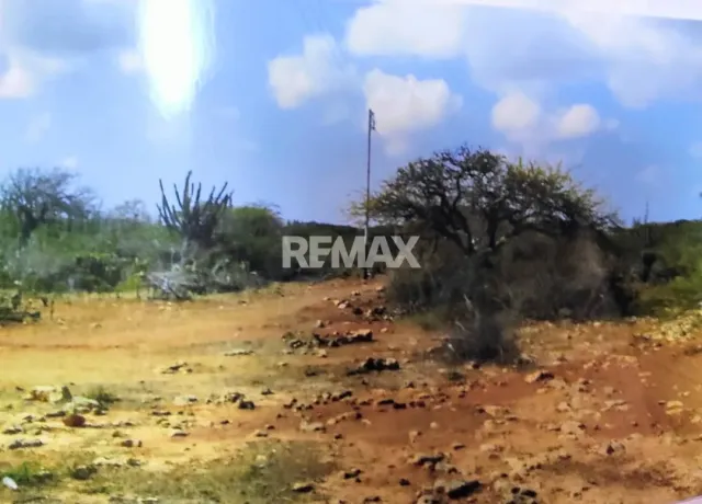 En Venta Terreno y Parcela Sector La Guadalupe, El Taparo