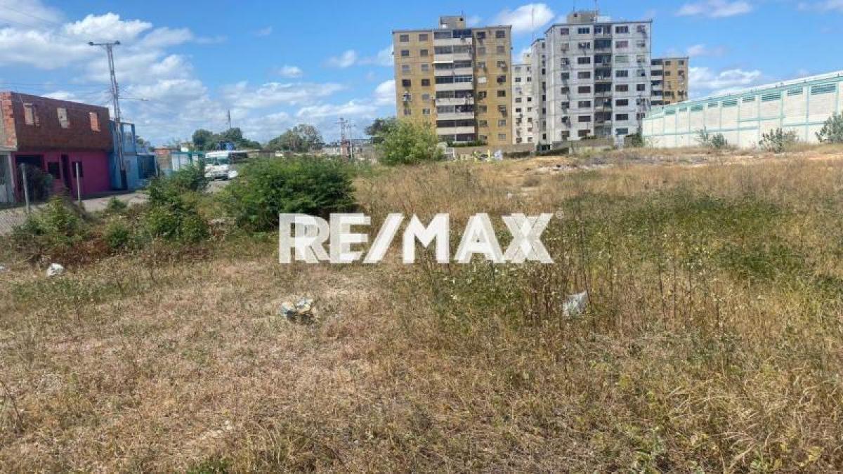 En Venta Terreno y Parcela Avenida Ramón Ruíz Polanco, Carirubana, Falcón, 4102, VEN - Foto 3