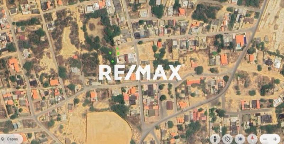 En Venta Terreno y Parcela Avenida Hipolito Ocando, Guanadito, Los Taques, Falcón, 4102, VEN - Foto 5