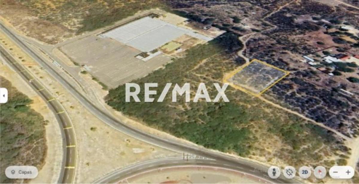 En Venta Terreno y Parcela Zona Rural El Taparo, Municipio Los Taques del Estado Falcón - Foto 2