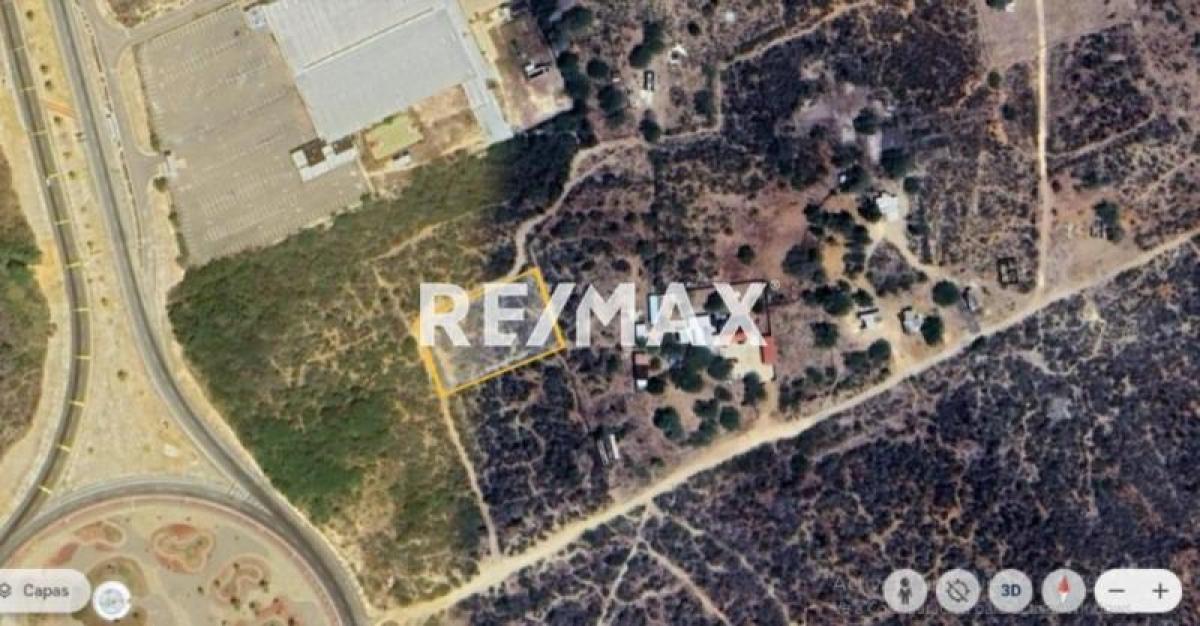 En Venta Terreno y Parcela Zona Rural El Taparo, Municipio Los Taques del Estado Falcón - Foto 5